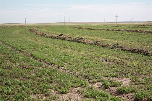 Property photo 100 - LAND AUCTION, 3255+/- Acres offered in 13 Tracts